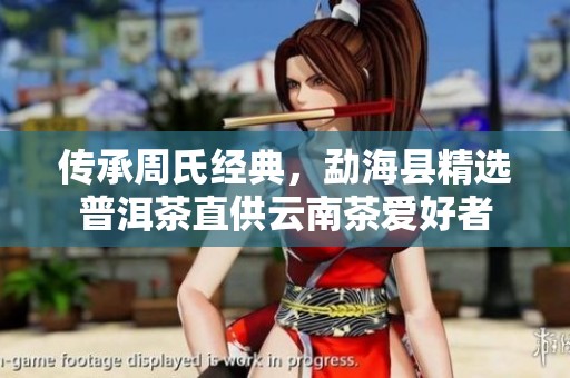 传承周氏经典，勐海县精选普洱茶直供云南茶爱好者