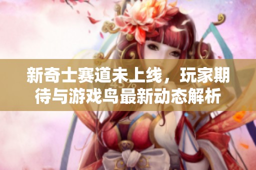 新奇士赛道未上线，玩家期待与游戏鸟最新动态解析