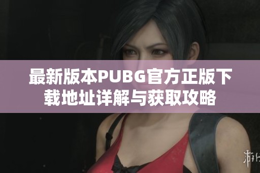 最新版本PUBG官方正版下载地址详解与获取攻略