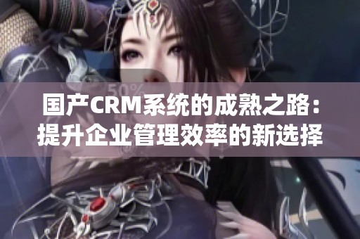 国产CRM系统的成熟之路：提升企业管理效率的新选择